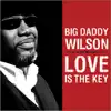 Big Daddy Wilson - Love Is The Key